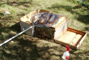 養蜂箱へのミツバチの引っ越し　天然ミツバチの巣から蜜蝋キャンドル作りに挑戦【手作りミツバチろうそく】
